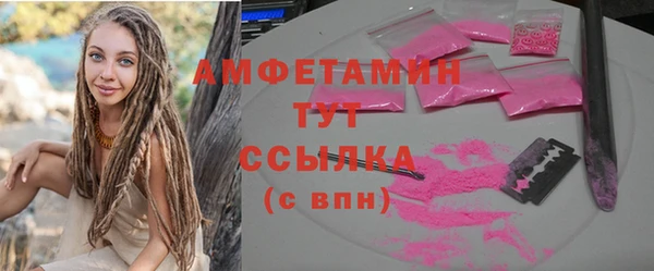 прущие грибы Наволоки