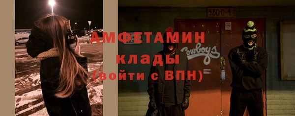 прущие грибы Наволоки