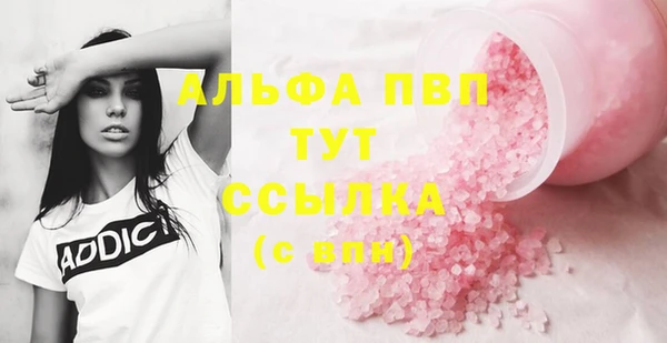 прущие грибы Наволоки