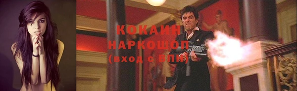 прущие грибы Наволоки