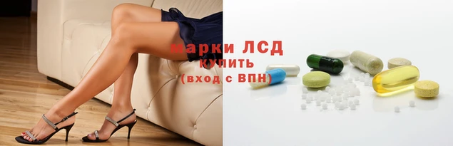 мяу мяу мука Надым