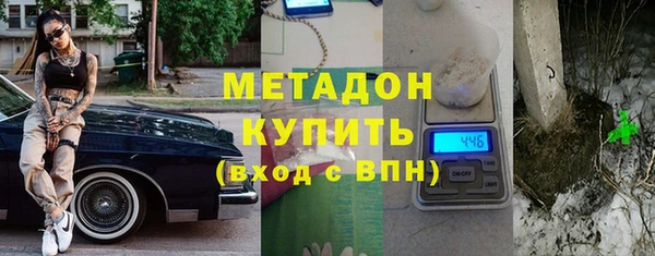 прущие грибы Наволоки