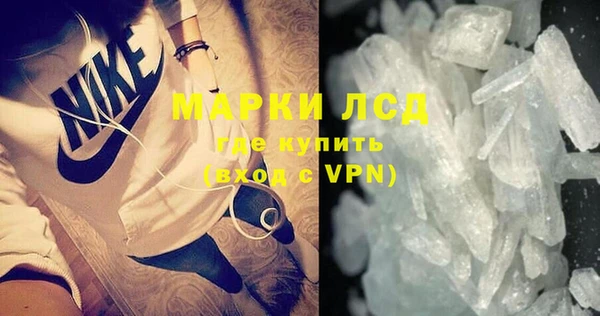мяу мяу мука Надым