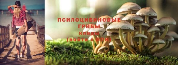 мяу мяу мука Надым
