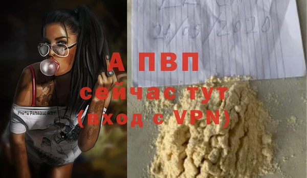 прущие грибы Наволоки